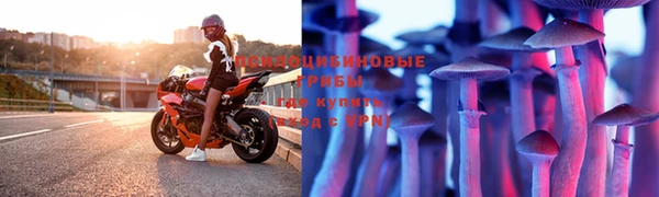 ALPHA PVP Медвежьегорск