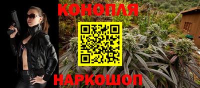 гашик Новокубанск