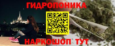 гашик Новокубанск