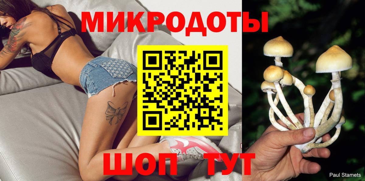Псилоцибиновые грибы Psilocybe Свободный