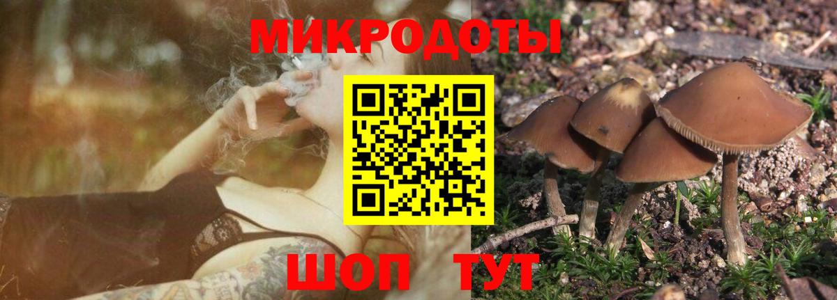 Галлюциногенные грибы мухоморы  Вход с VPN  Галлюциногенные грибы ЛСД  Свободный 